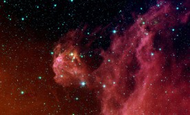 Stars "hatching" in the head of the hunter constellation, Orion