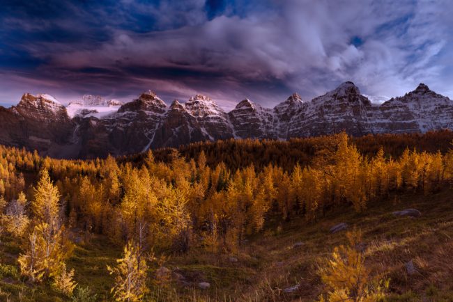 Larch Valley - Looming Clouds