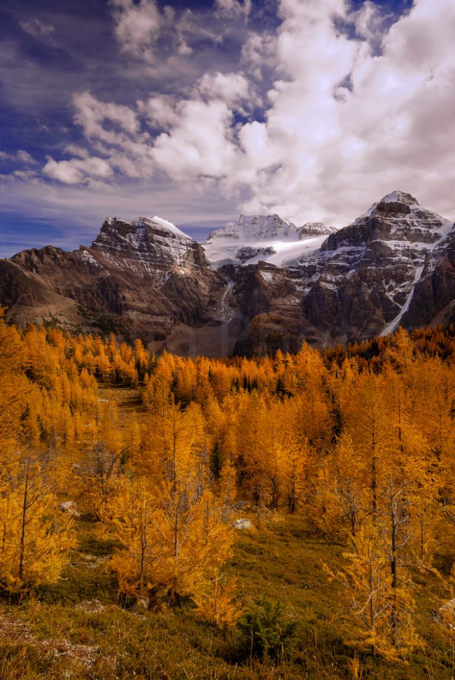 Larch Valley and Wenkchemna Glacier