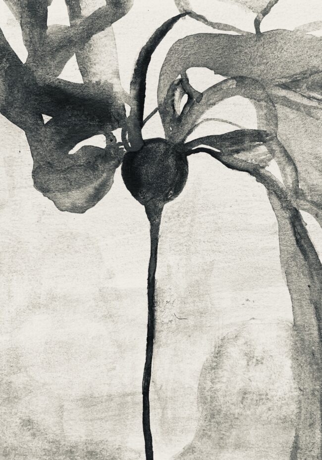 Whispering Seaweed Whispering Seaweed