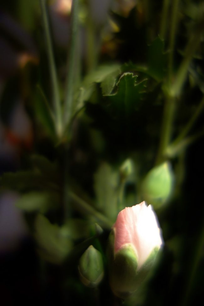 A Single Thought A Single Thought