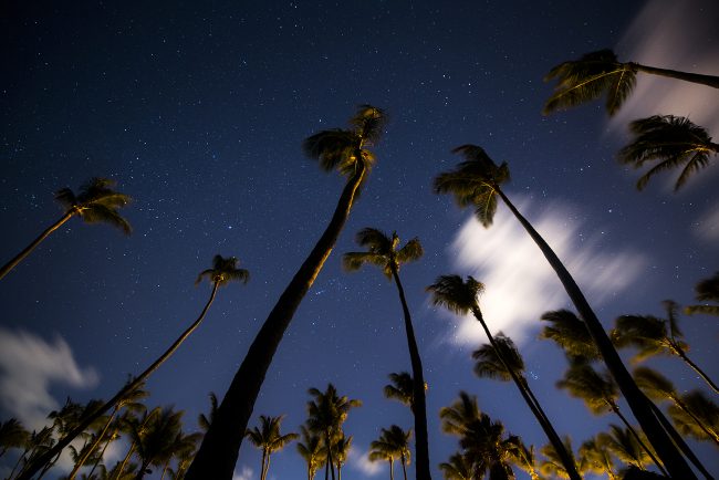 A star-filled night above Punta Cana. © Mark Edward Harris