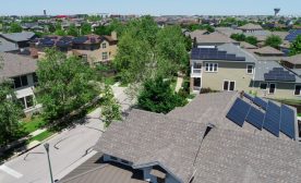 Many roofs with solar panels