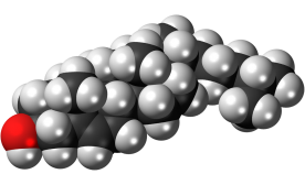 Cholesterol molecule